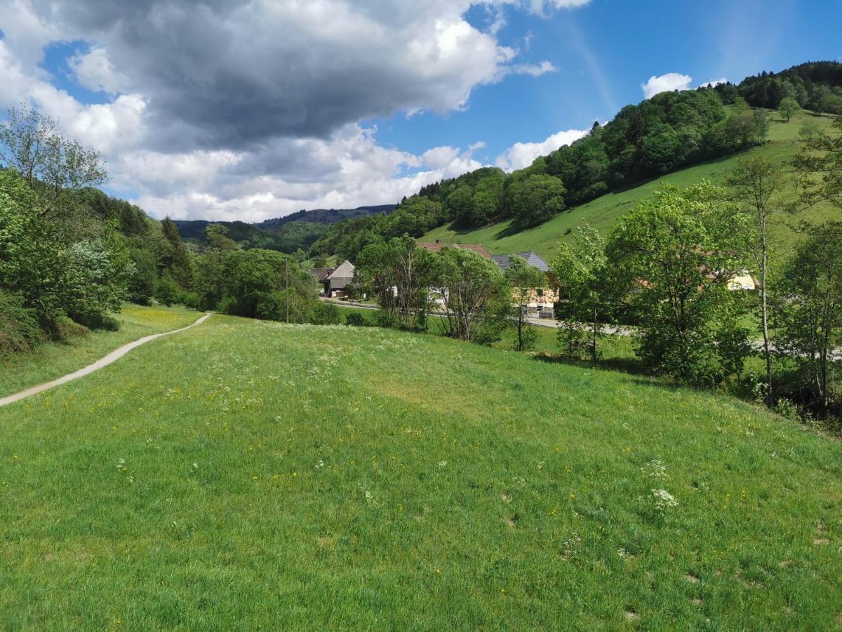Ferienwohnung Vogelsang Im Schwarzwald Münstertal Exterior foto