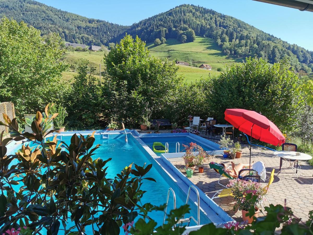 Ferienwohnung Vogelsang Im Schwarzwald Münstertal Exterior foto