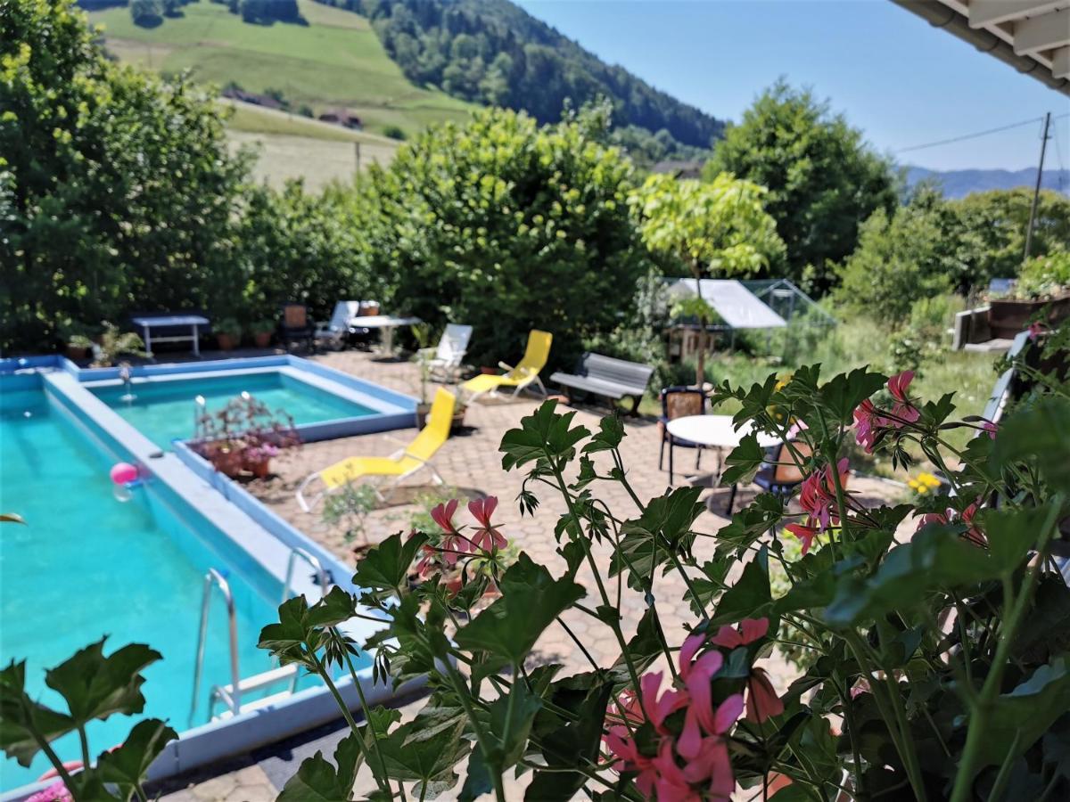 Ferienwohnung Vogelsang Im Schwarzwald Münstertal Exterior foto