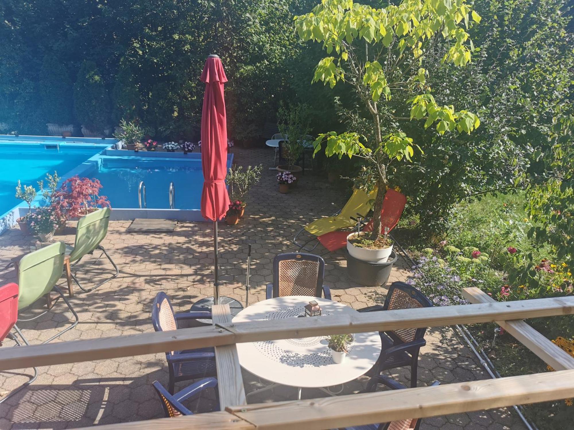 Ferienwohnung Vogelsang Im Schwarzwald Münstertal Exterior foto
